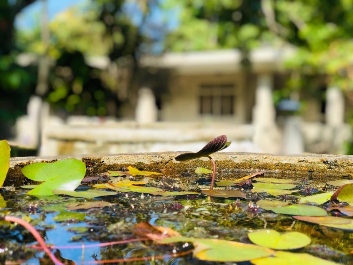 Paradise Garden Beruwala Exterior photo
