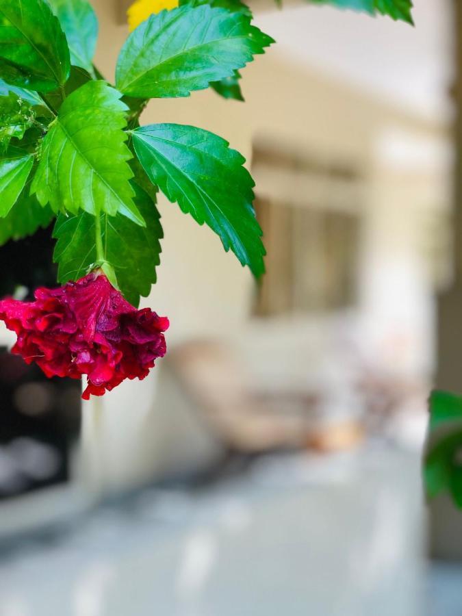 Paradise Garden Beruwala Exterior photo