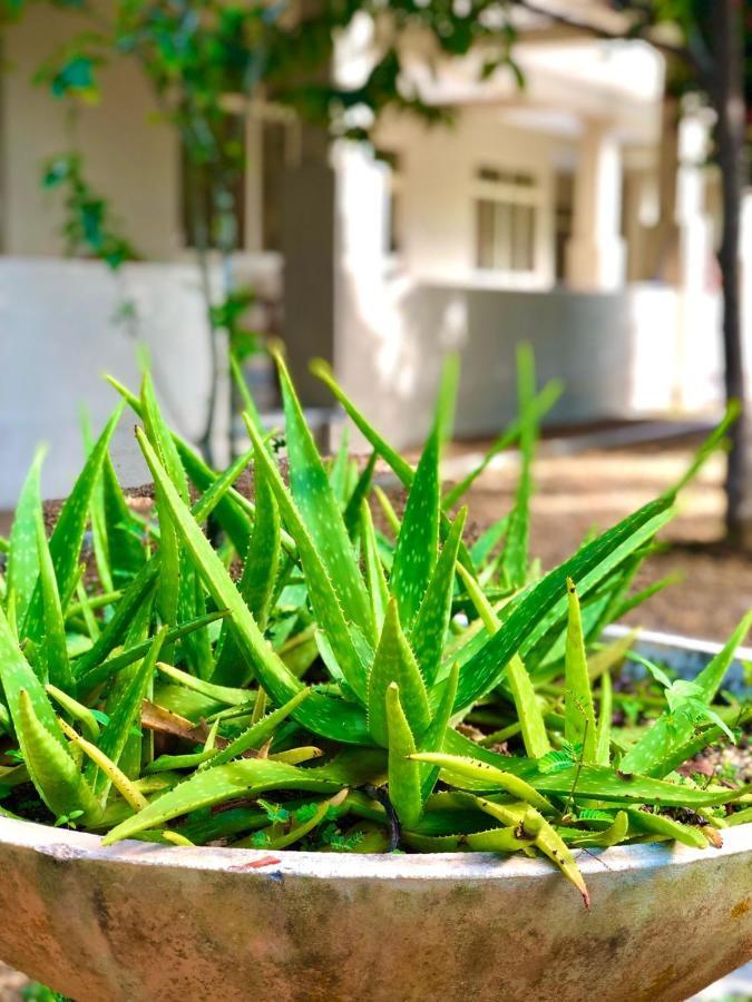 Paradise Garden Beruwala Exterior photo