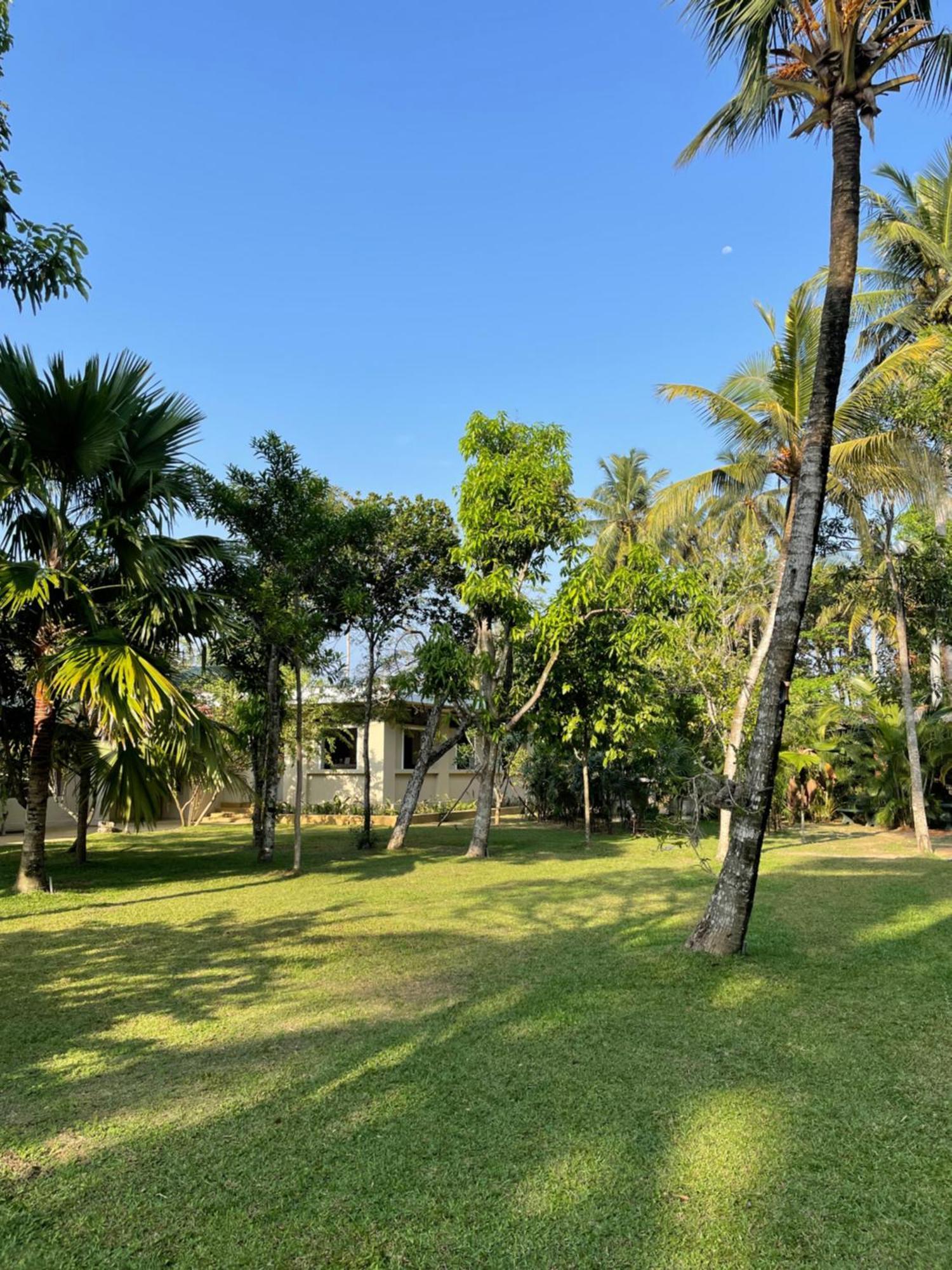 Paradise Garden Beruwala Exterior photo